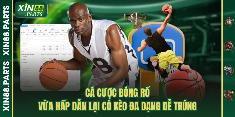 Cá Cược Bóng Rổ Xin88