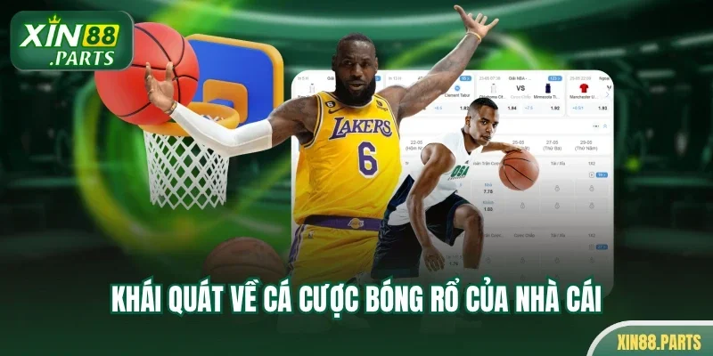 Khái quát về cá cược bóng rổ của nhà cái
