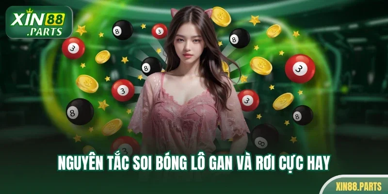 Nguyên tắc soi bóng lô gan và rơi cực hay