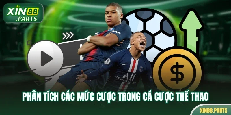 Phân tích các mức cược trong cá cược thể thao