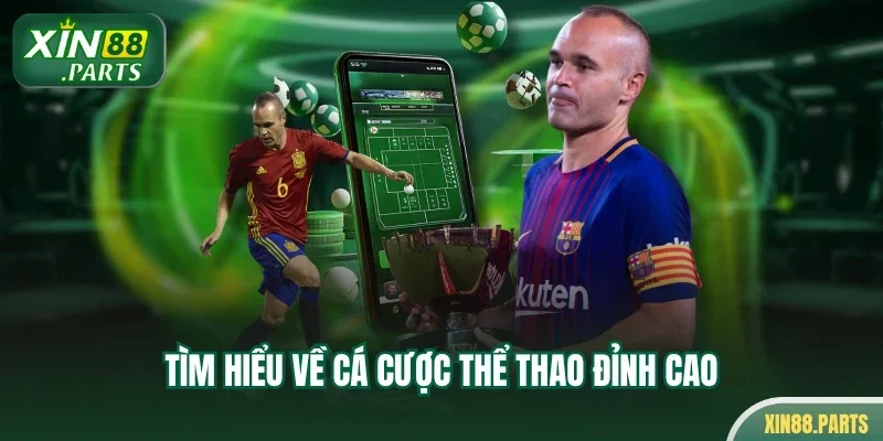 Tìm hiểu về cá cược thể thao đỉnh cao
